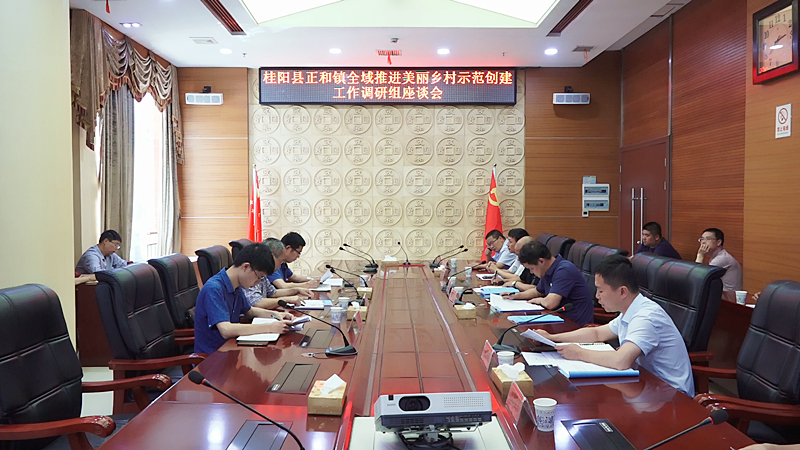 市调研组来我县调研正和镇全域推进美丽乡村示范创建工作