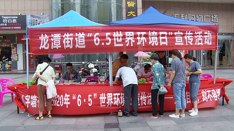 龙潭街道开展“6·5”世界环境日宣传活动