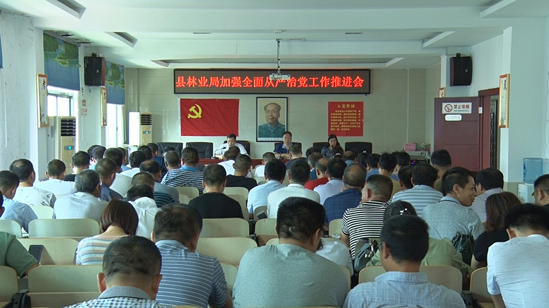 县林业局党组召开加强全面从严治党工作推进会