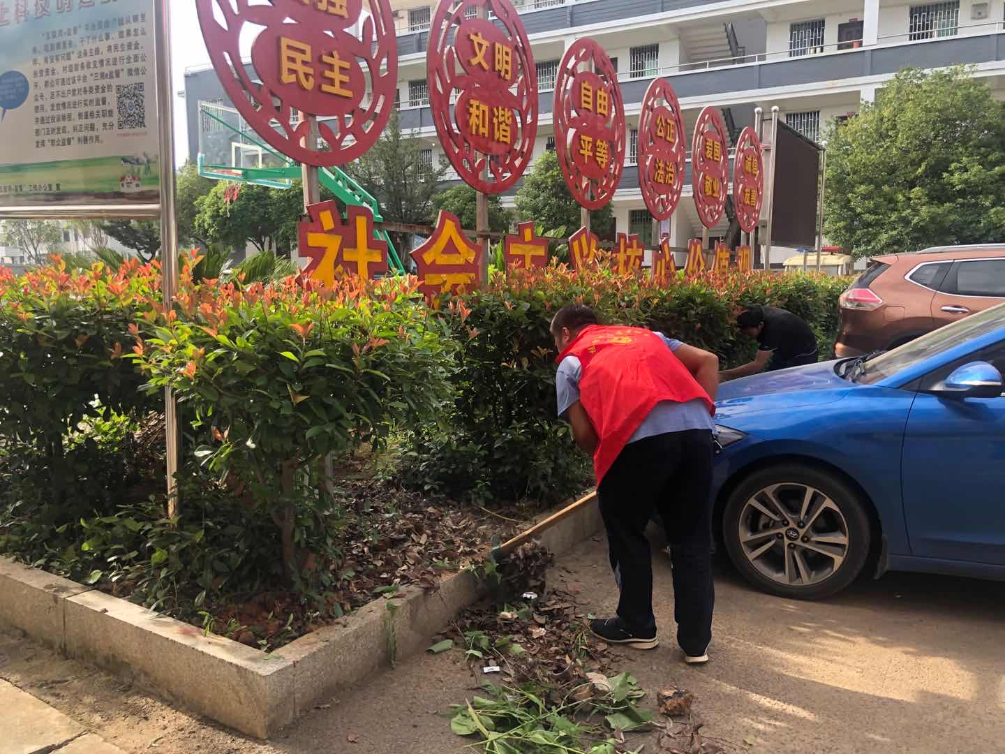 雷坪镇：干部齐动手，庭院更美好