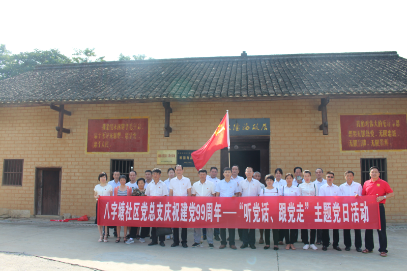 龙潭街道八字塘社区党总支庆“七 · 一”活动
