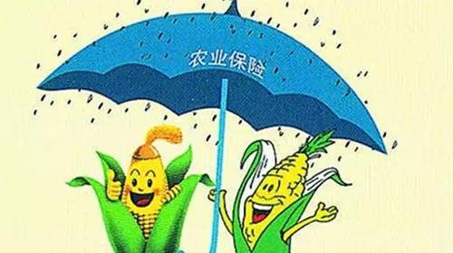 桂阳县2020农业保险政策宣传