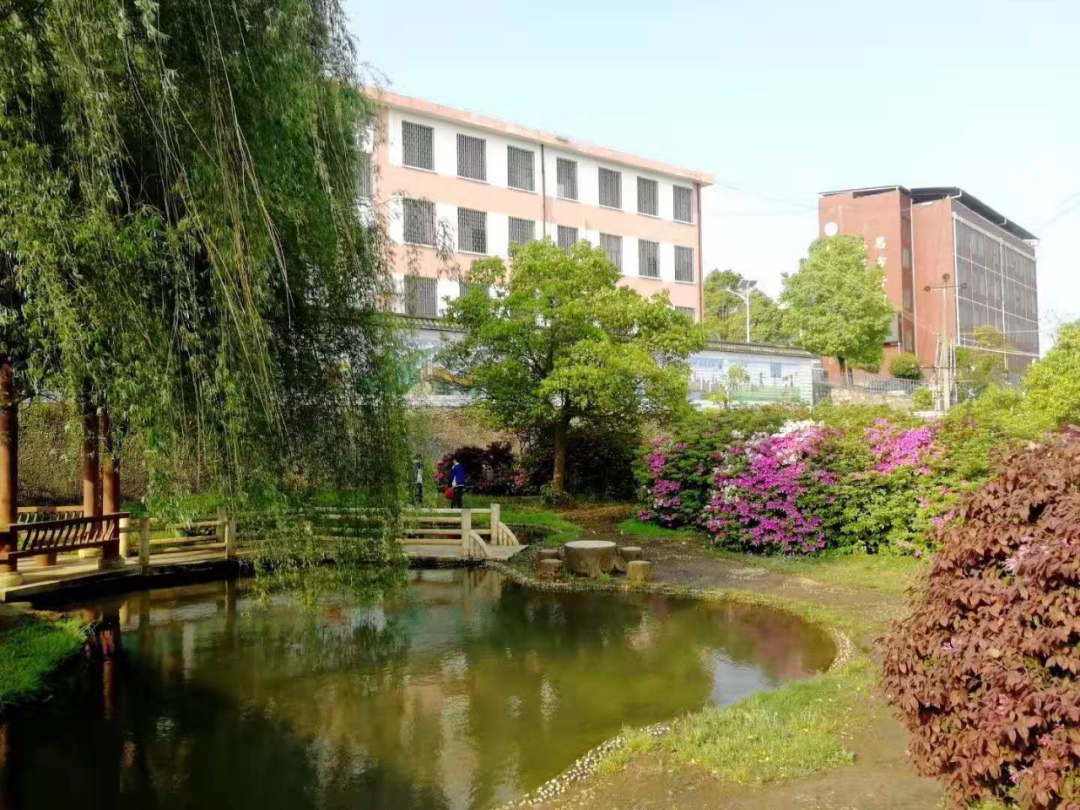 方元镇中心学校:努力办一所师生向往的学校