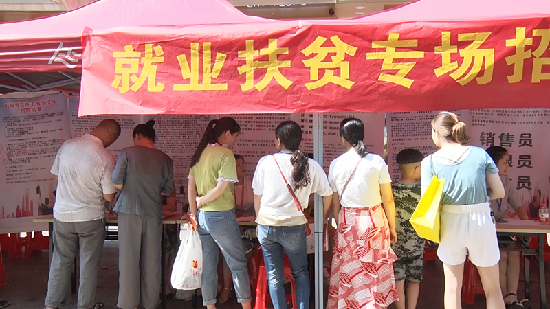 【重点攻坚进行时】民营企业招聘会：线上线下联动   助力精准就业