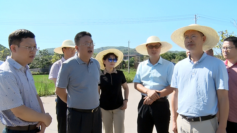 省农业农村厅调研我县耕地安全利用工作