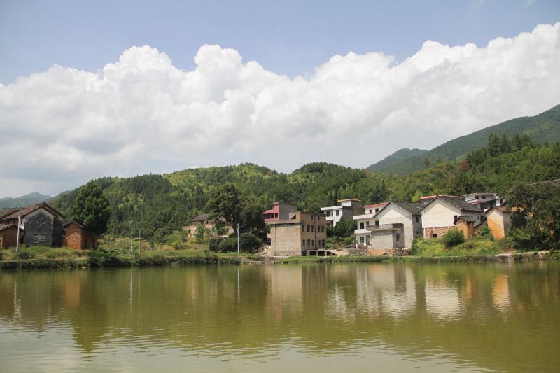 桂阳：党建引领乡村治理动能足