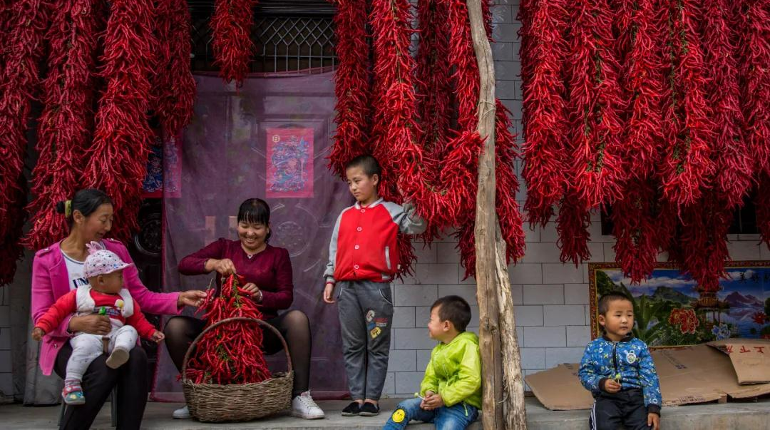 14亿中国人的丰收地图