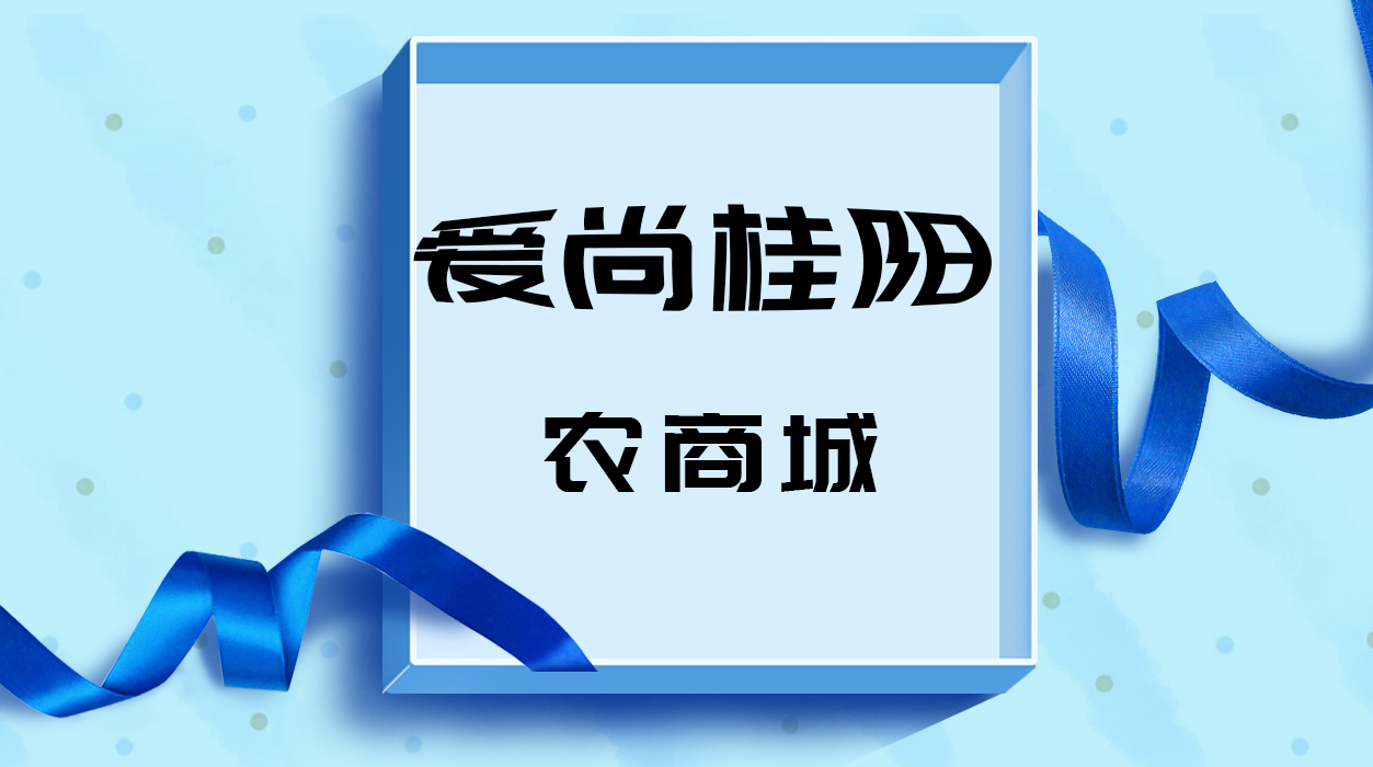 爱尚桂阳上线啦！