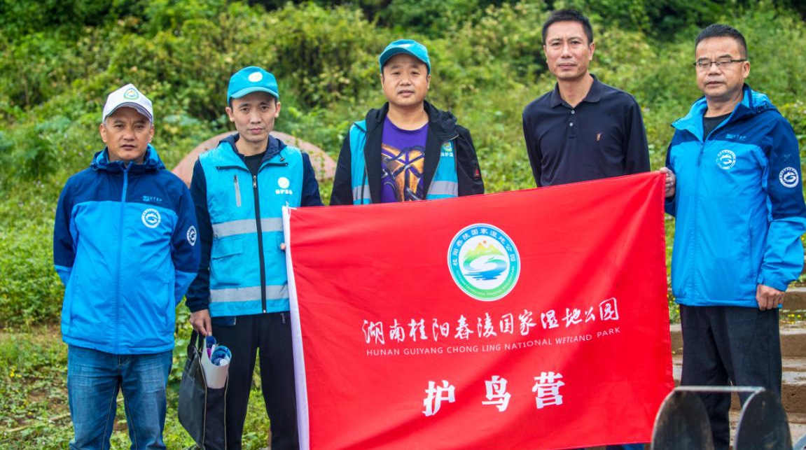 护鸟爱鸟：舂陵湿地积极行动  确保鸟儿安全过冬