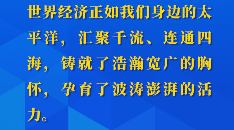 习近平在亚太经合组织第二十七次领导人非正式会议讲话要点