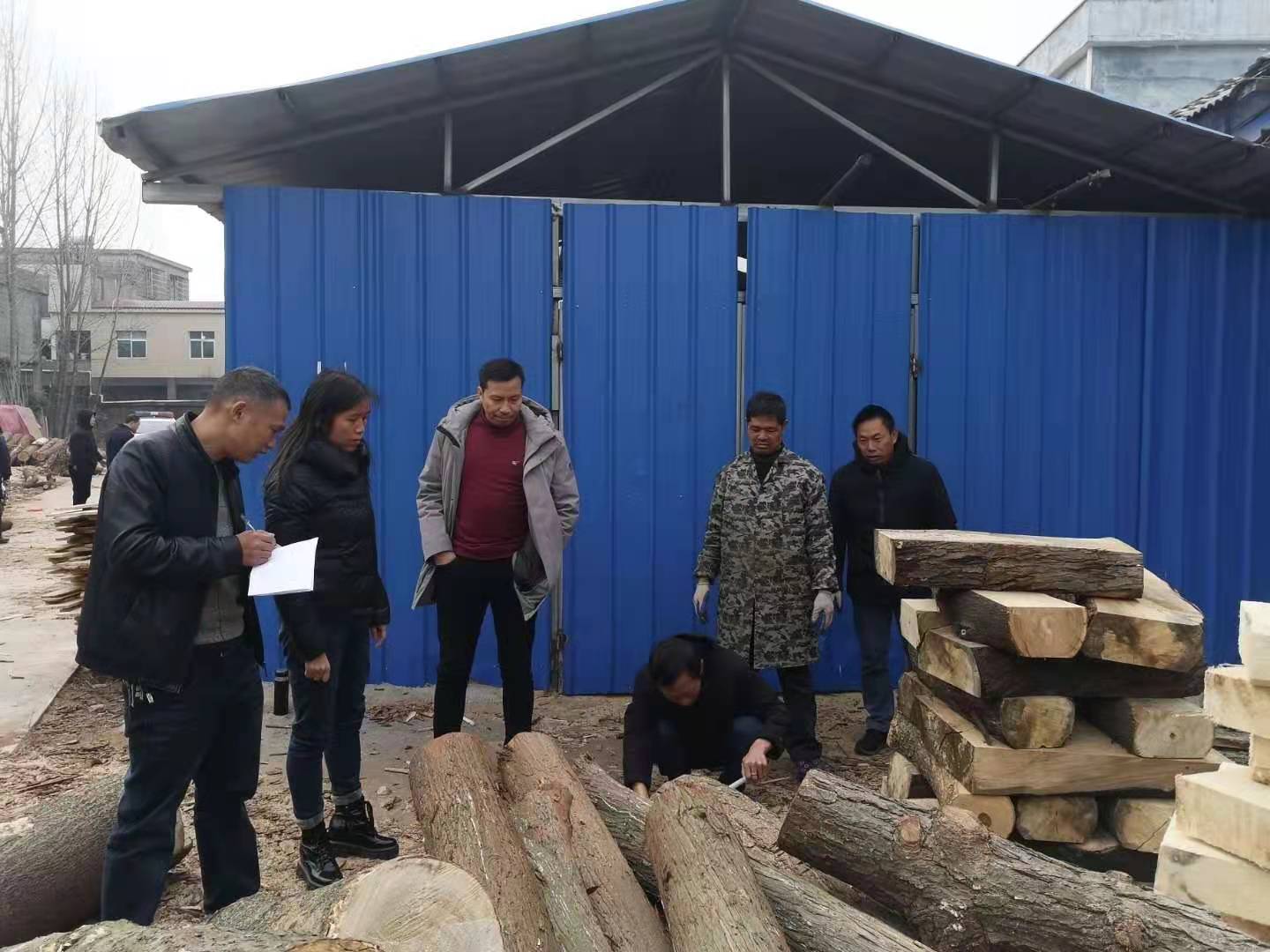 县林业局开展松材线虫病疫木执法行动