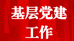 2020年度桂阳县基层党建工作盘点来啦！
