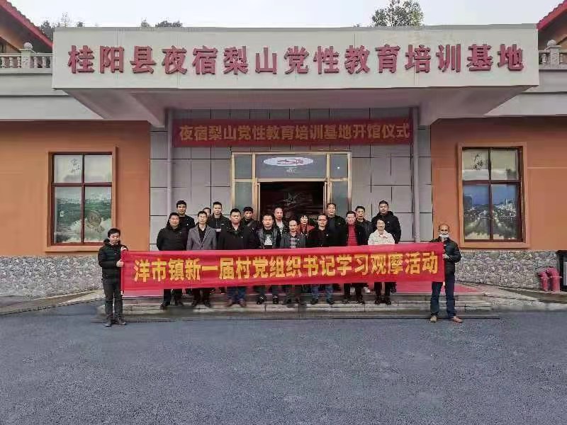 洋市镇组织新任党组织书记开展党建工作学习观摩活动