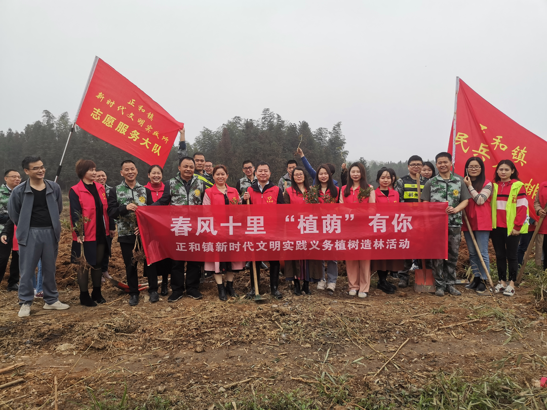 正和镇：春光好 植树忙