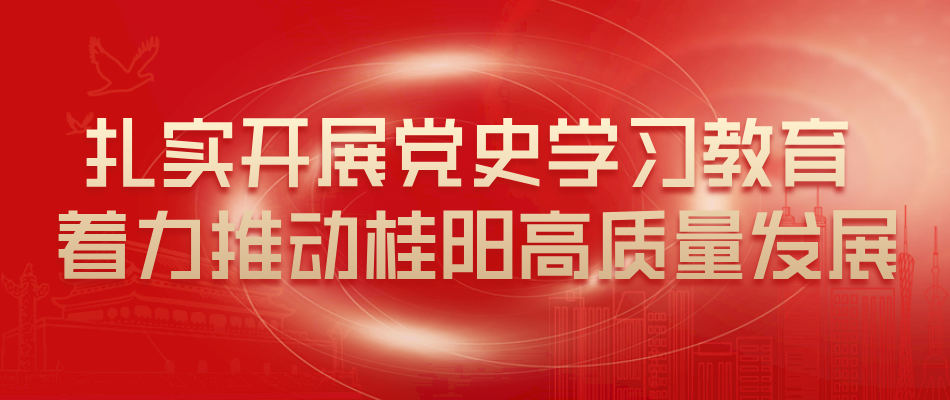 扎实开展党史学习教育 着力推动桂阳高质量发展