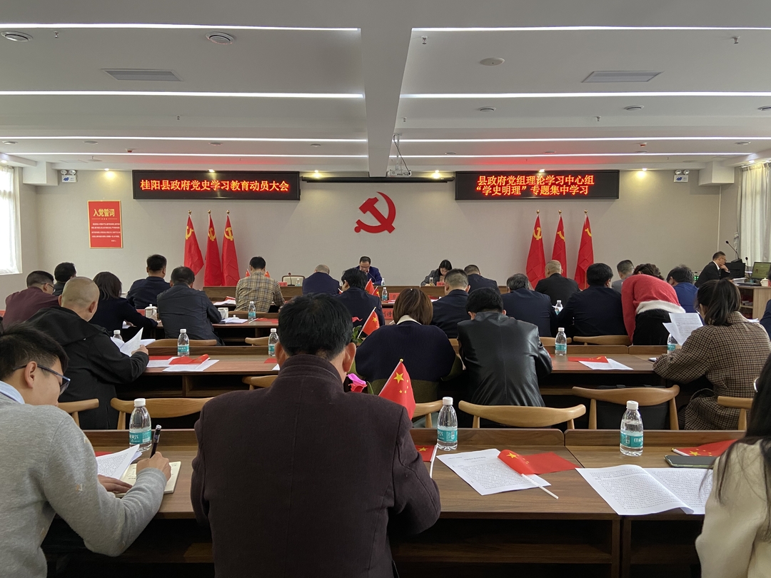 奋斗百年路 启航新征程——学党史 悟思想 办实事 开新局 县政府党组理论学习中心组举行党史学习教育“学史明理”专题集中学习