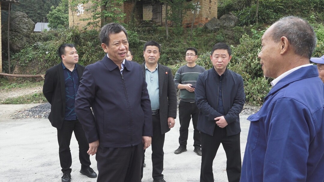 彭生智调研乡镇重点工作 以党史学习教育为契机 统筹推进各项工作