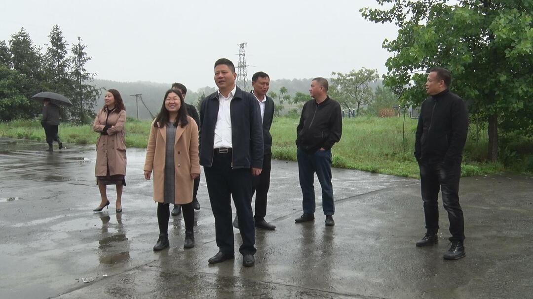 整治农村人居环境 共创洁净健康家园  县领导带队暗访督查农村人居环境整治工作