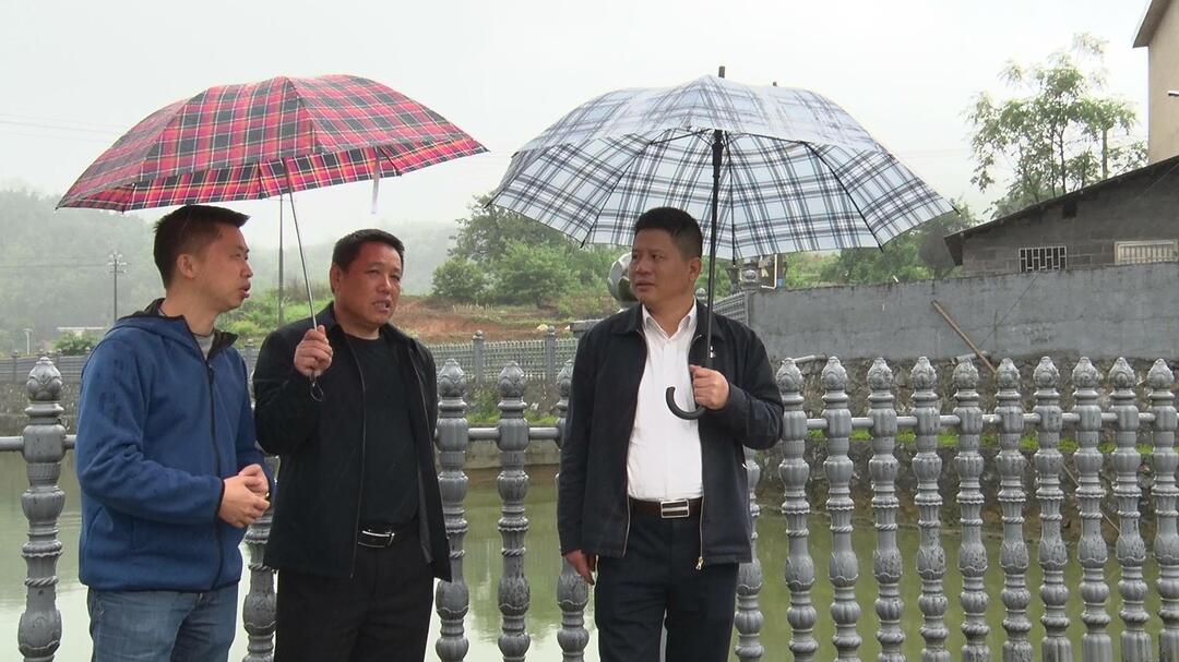 整治农村人居环境 共创洁净健康家园 我县持续开展暗访督查农村人居环境整治工作