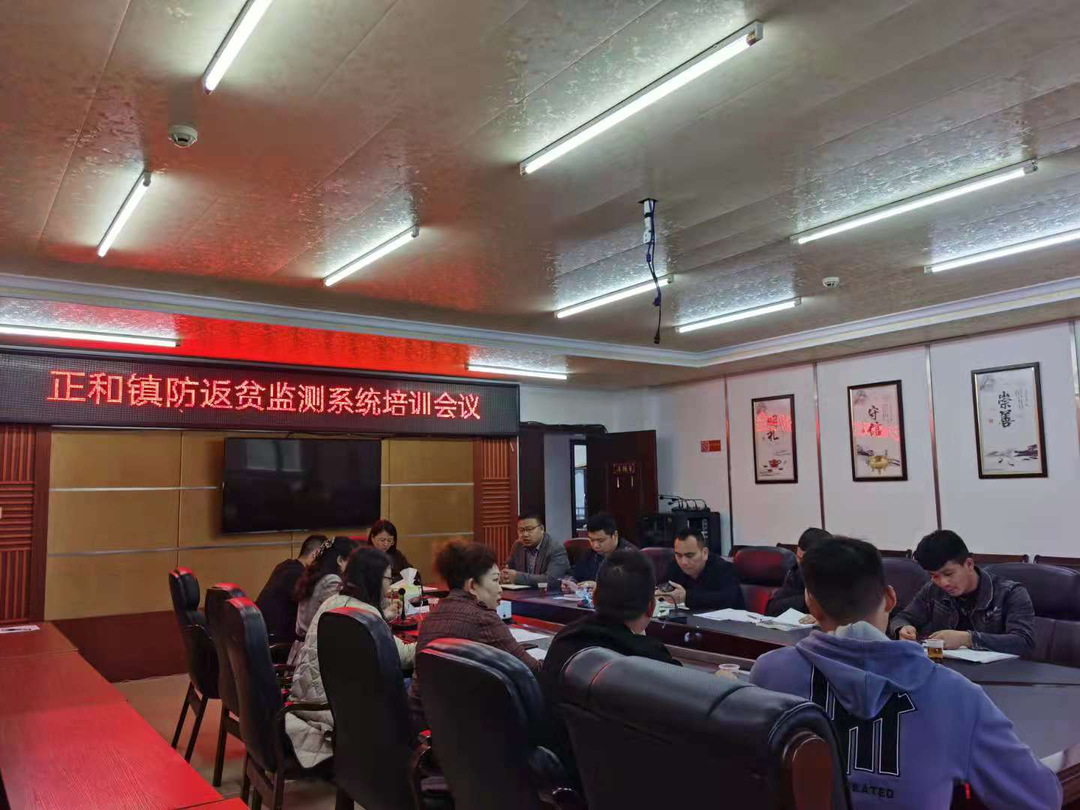 正和镇组织召开防返贫监测系统培训会议