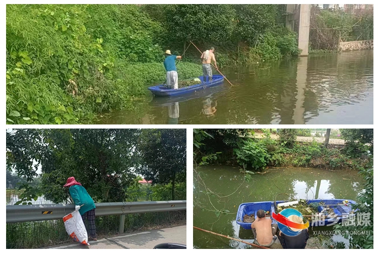 [东郊乡]整治河道卫生 共建宜居东郊