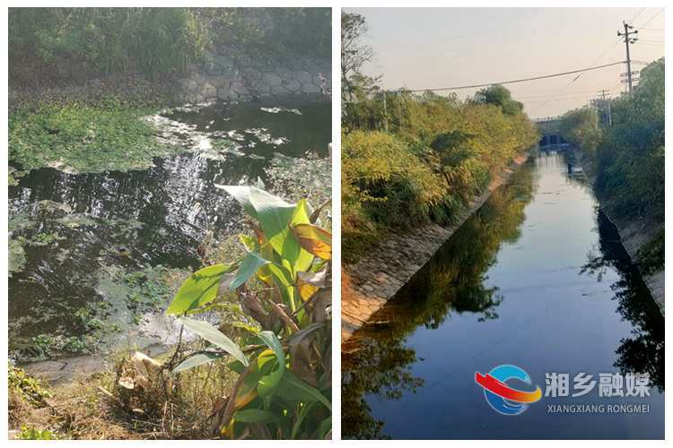 [东郊乡]守护水清岸绿 共创宜居环境