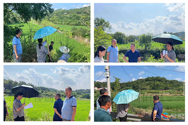 [棋梓镇]稻花香里忙丰收