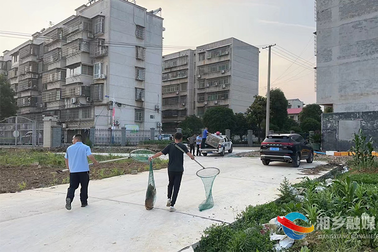 [望春门街道]整治不文明养犬 助力文明城市创建