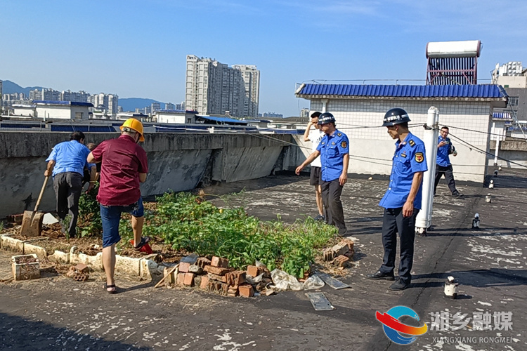 [望春门街道]清理楼顶“菜园” 解决“屋顶”烦恼