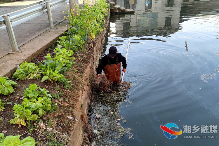 [望春门街道]加强水域巡查 开展水环境整治