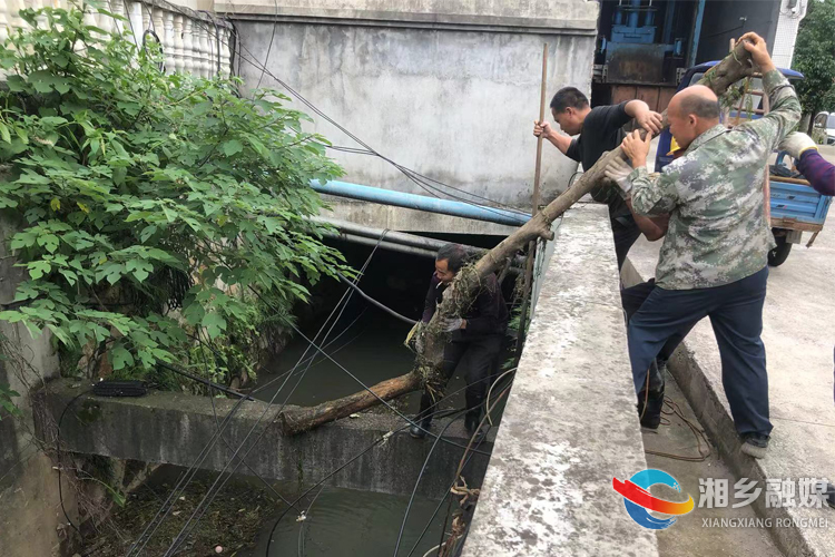 [望春门街道]“把脉”欧家港 治理河道顽疾