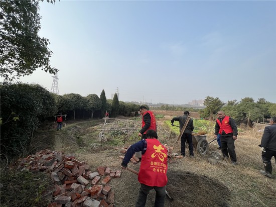 荷塘村：黨員先鋒隊積極發(fā)揮模范帶頭作用