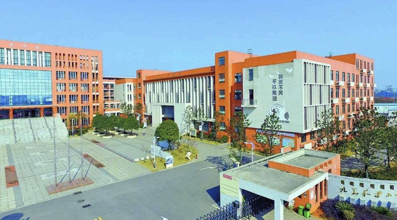 九华和平小学支部委员会：党建赋能，聚力建设“和雅”新校园