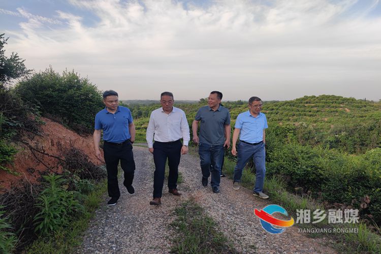 湘潭市林业局来湘乡调研油茶产业发展情况
