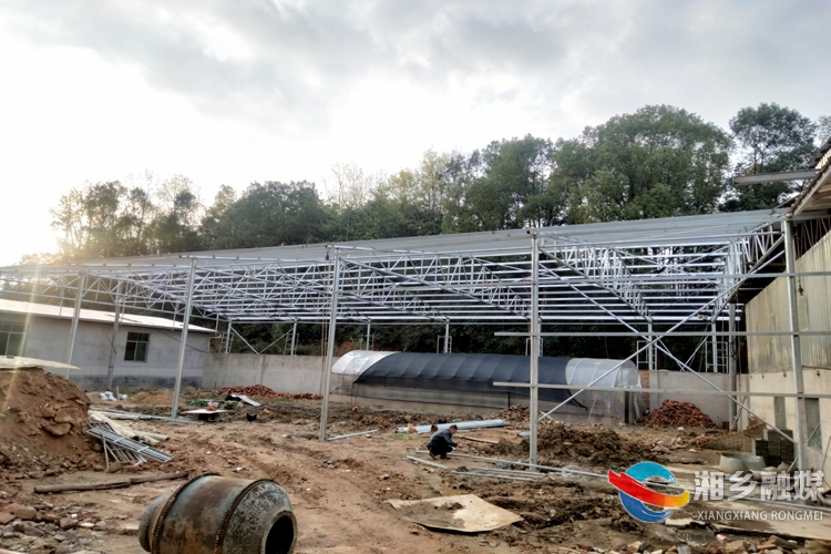 [潭市镇]育秧大棚搭建忙 不负农时好春光