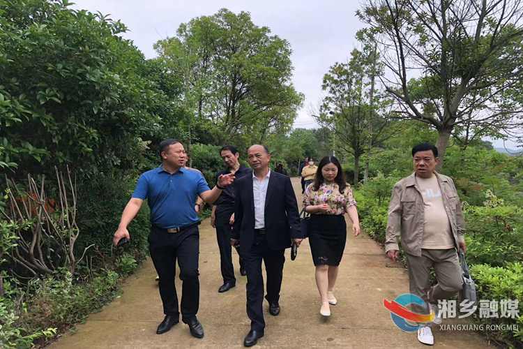 湘潭市“四区一地一圈一强”文旅产业建设项目协调指挥部来我市调研