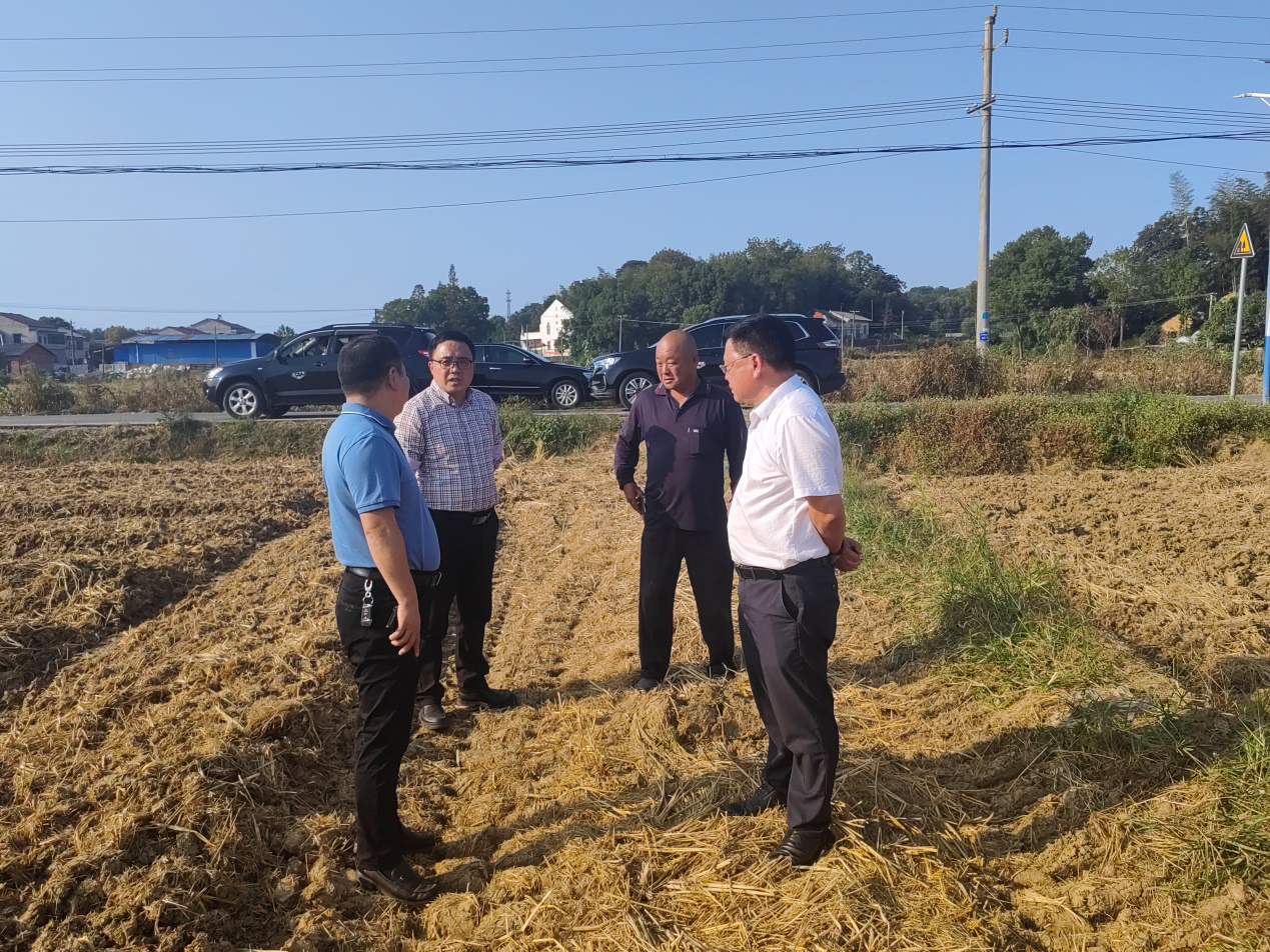 陈孟球调研督导赫山区晚稻秸秆离田和冬季油菜生产等工作