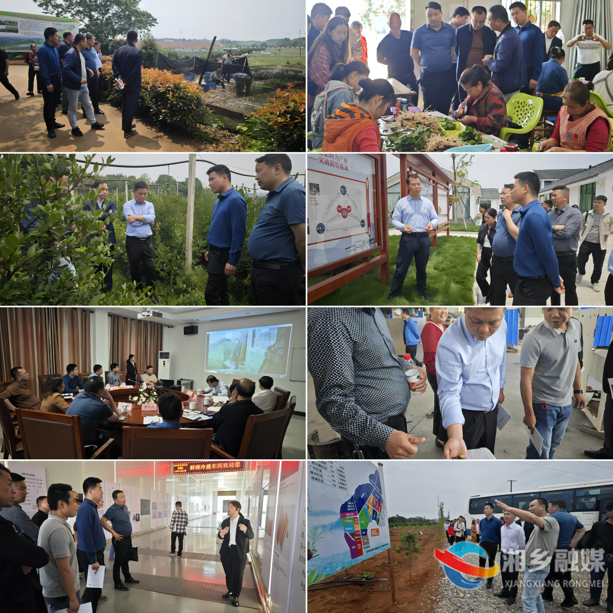 [白田镇]取来“油茶经” 促进产业发展