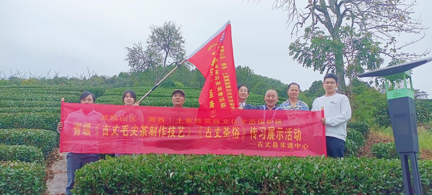 古丈县岩头寨镇：非遗赋能茶产业  传习助力乡村兴