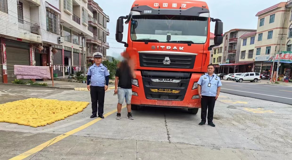 洞口县路警联合依法查处一未悬挂车牌超限运输车辆