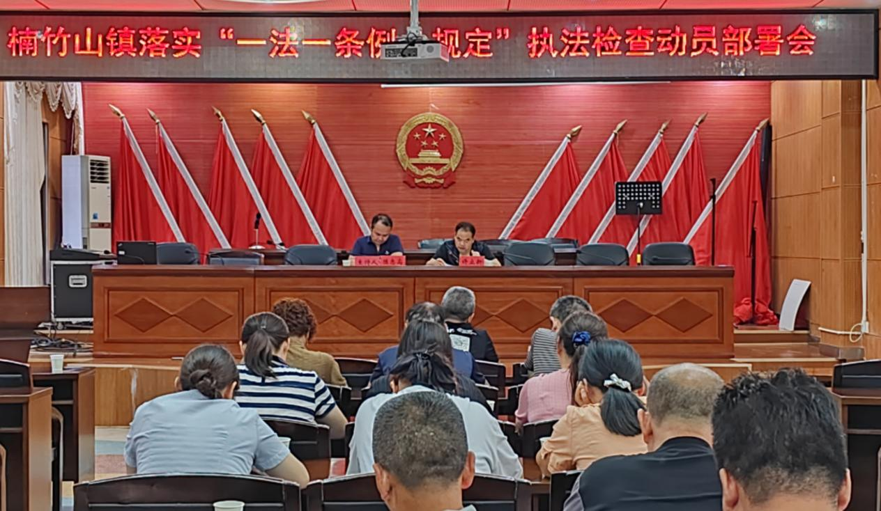 楠竹山镇人大召开落实“一法一条例一规定” 执法检查动员部署会