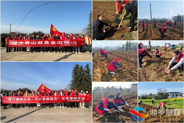 [昆仑桥街道]相约春天 共植希望