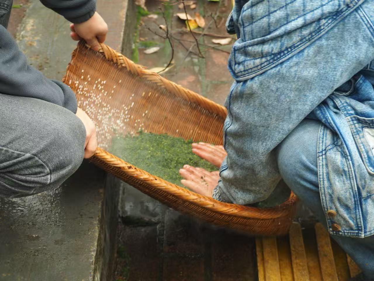 社饭飘香融情谊 暖暖絮语话家风——中方县泸阳镇开展清明主题活动引领文明新风尚