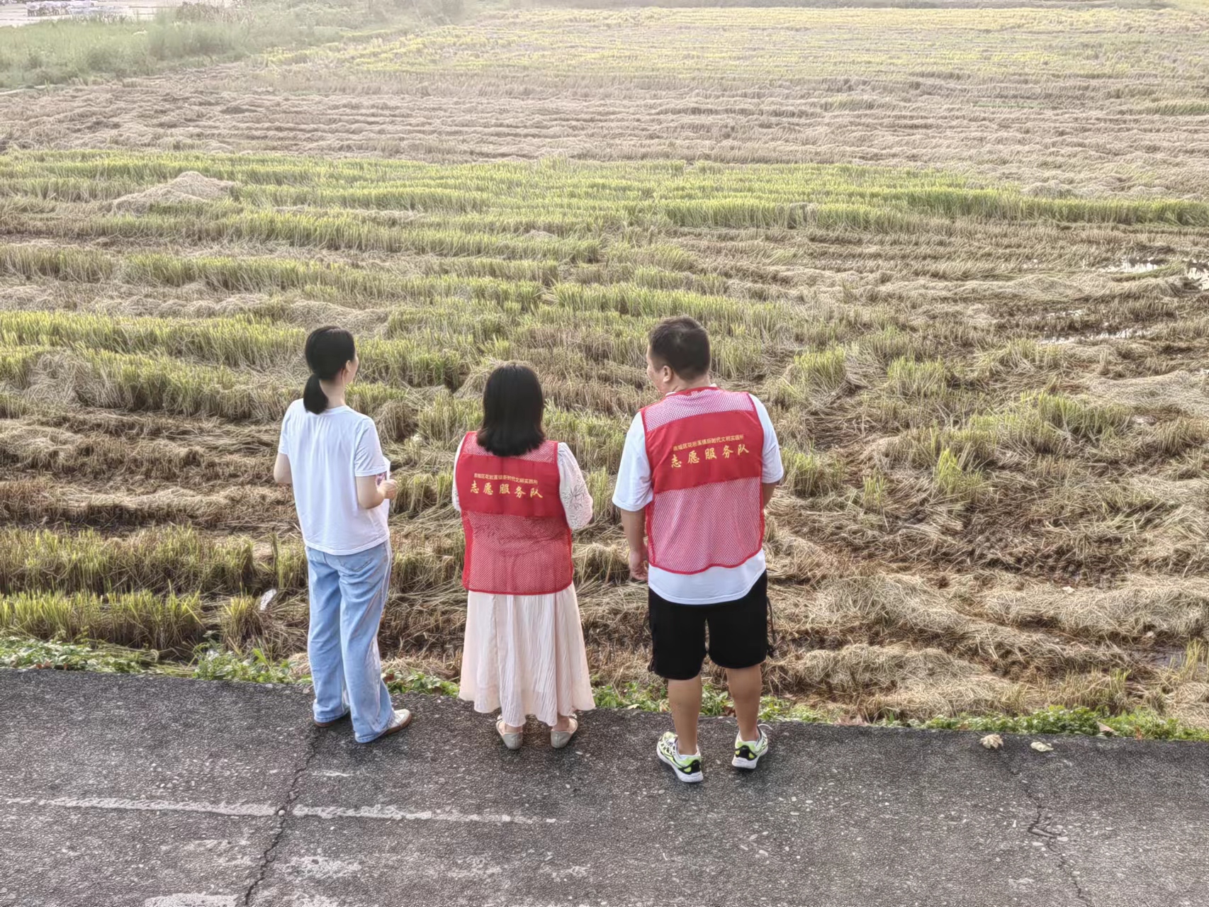 花岩溪镇：积极开展秸秆禁烧巡查 筑牢碧水蓝天守护屏障