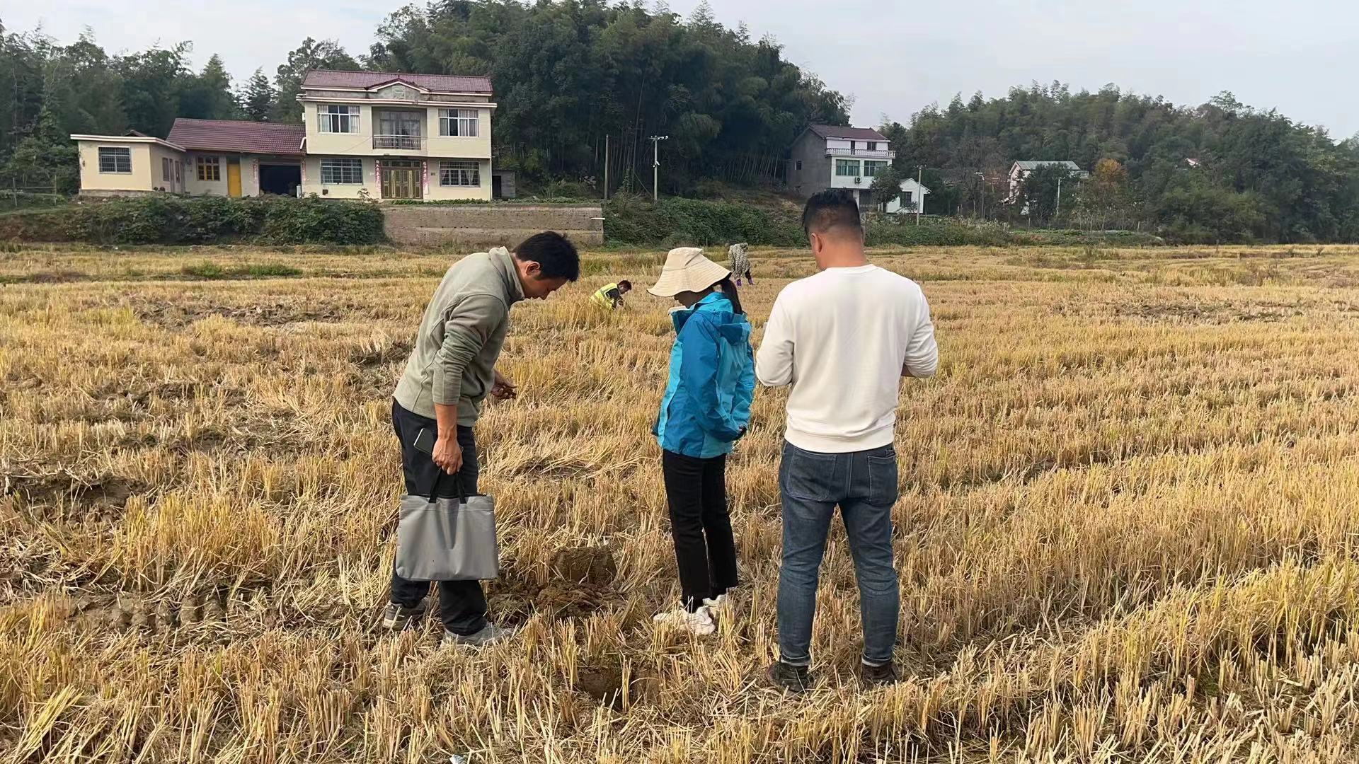 花岩溪镇：开展全国第三次土壤普查取样工作