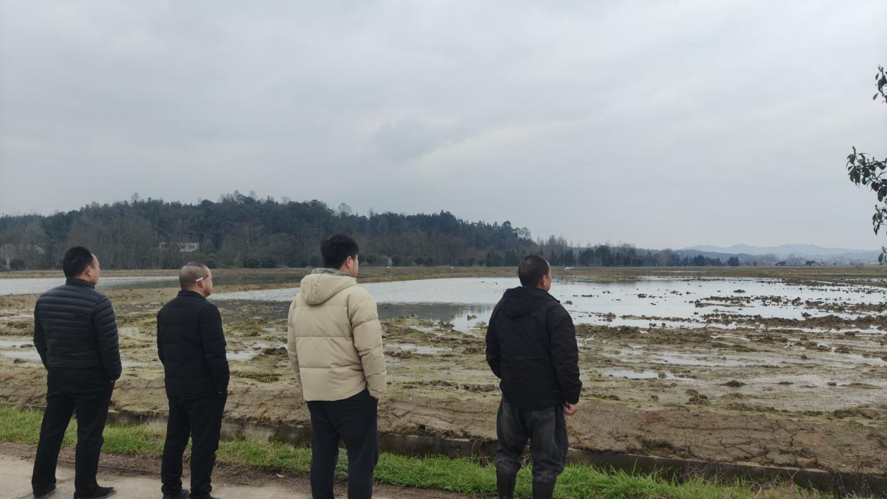 花岩溪镇：高标准农田焕新机 春耕备耕底气足