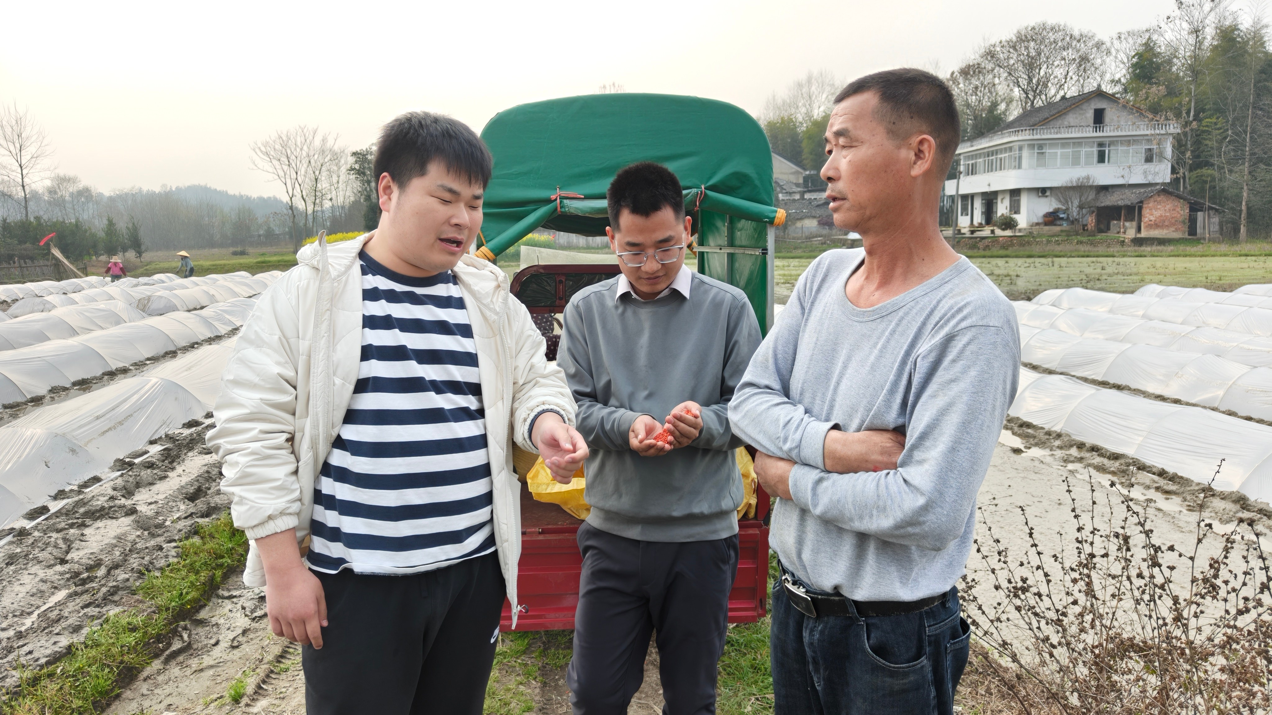 花岩溪镇：农技服务下田间 护航春耕保生产