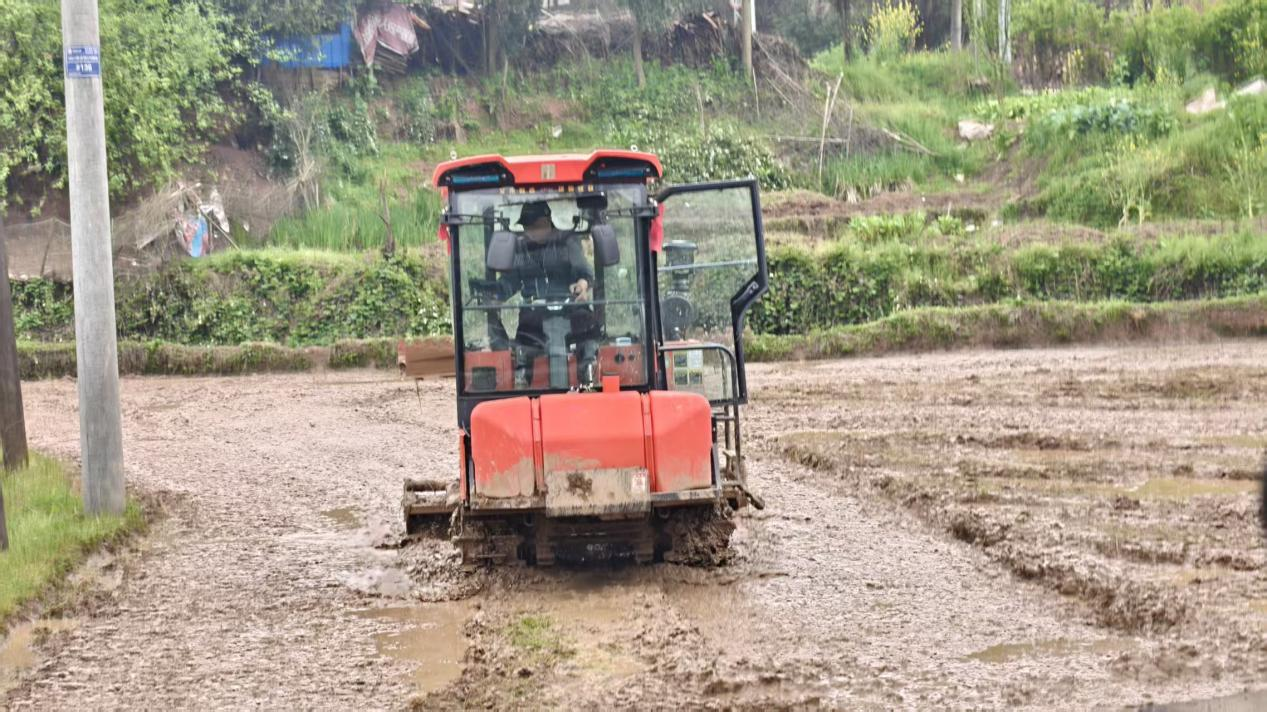 花岩溪镇：抢抓四月晴好天气 全力抓实春耕春种关键环节