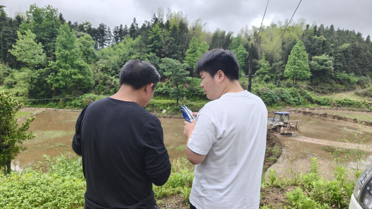 花岩溪镇：农技下沉田间，筑牢粮食安全防线