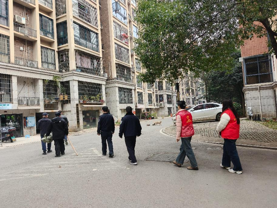金井社区流浪犬“抓捕记”：共筑社区文明新篇
